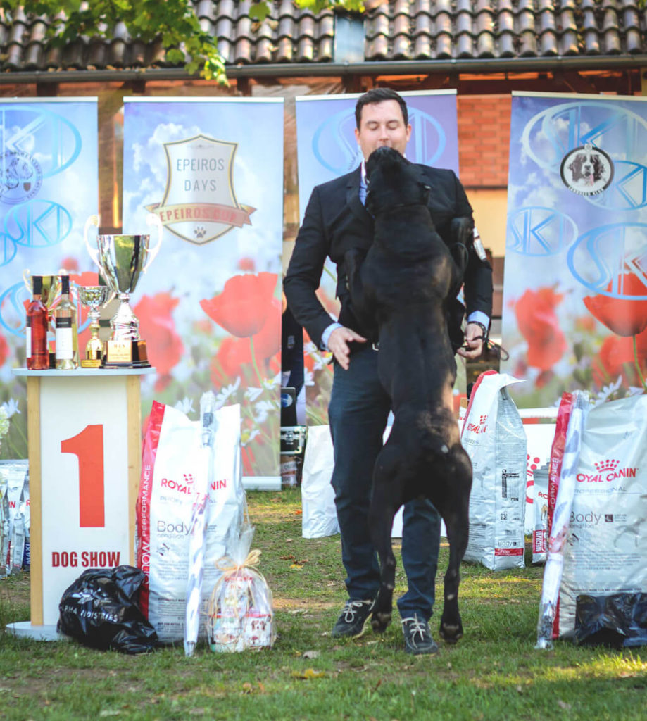 BIS Cane Corso - I´M THOR RAYLA DI CORS