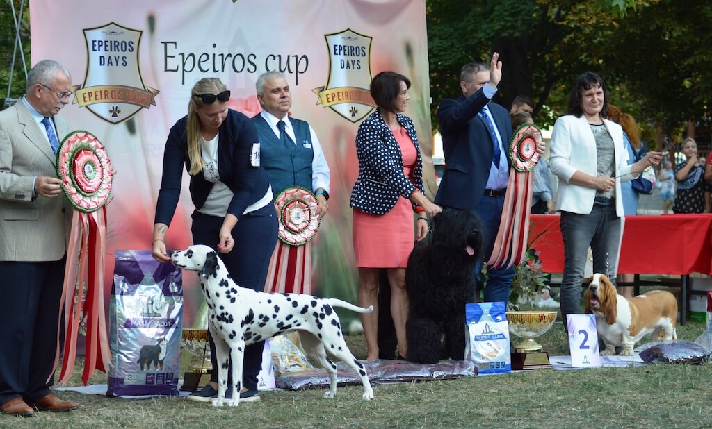 BIS Honey Spotty Memories, R.BIS Black Diamond Magnateria, III. BIS Janette Grand Grades