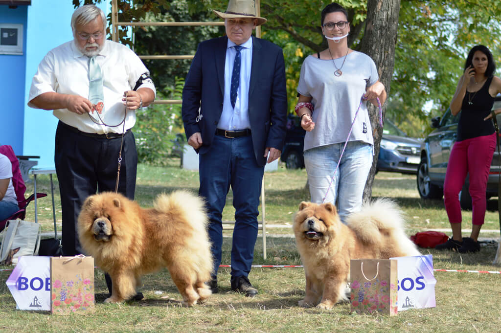 BOB Fobi Lietuvos Liutas, BOS Sia Shen Te Chows